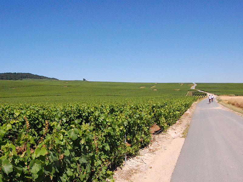 champagne tours sur marne