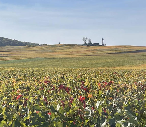 Le vignoble - Champagne Faucheron-Gavroy