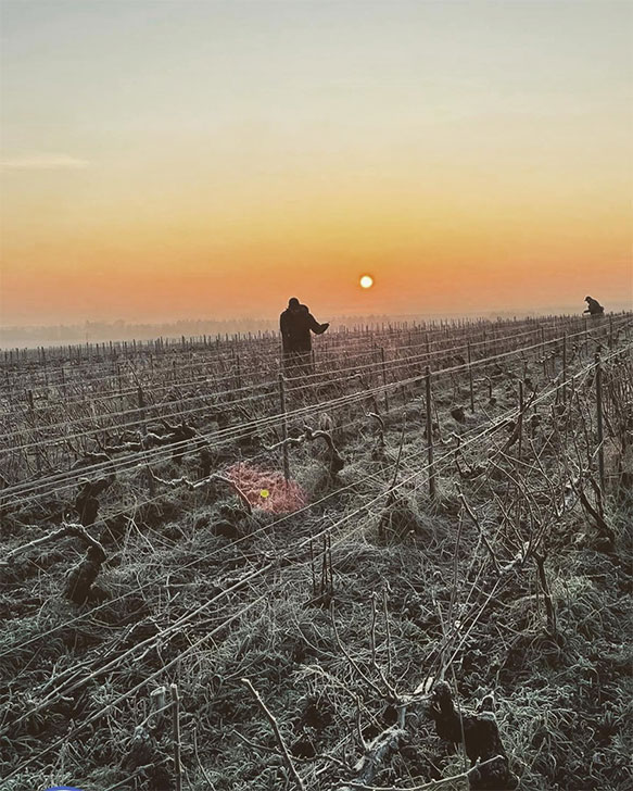 Champagne Faucheron-Gavroy